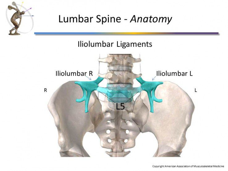 Module 3: Lumbar Spine - Prolotherapy Education