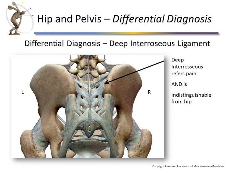 Module 4: Hip and Pelvis - Prolotherapy Education